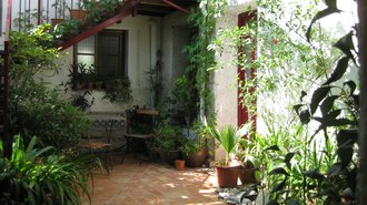 Patio2